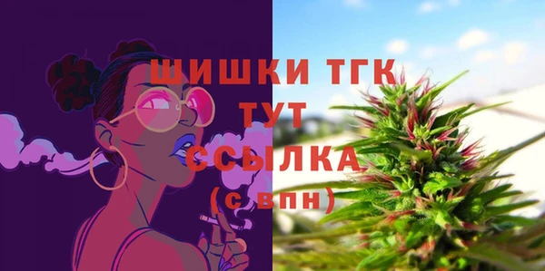 прущие грибы Каменногорск