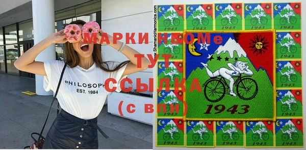 прущие грибы Каменногорск