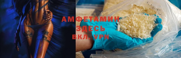 прущие грибы Каменногорск