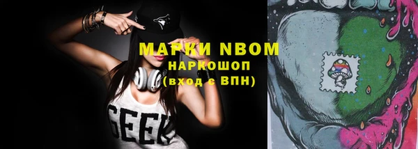 прущие грибы Каменногорск