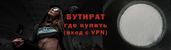 прущие грибы Каменногорск