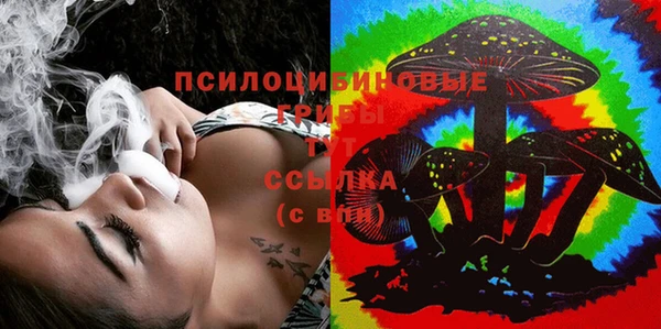 прущие грибы Каменногорск