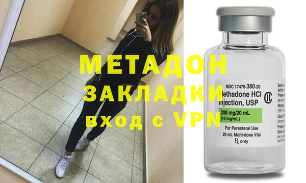 прущие грибы Каменногорск
