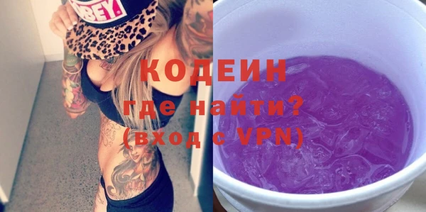 прущие грибы Каменногорск
