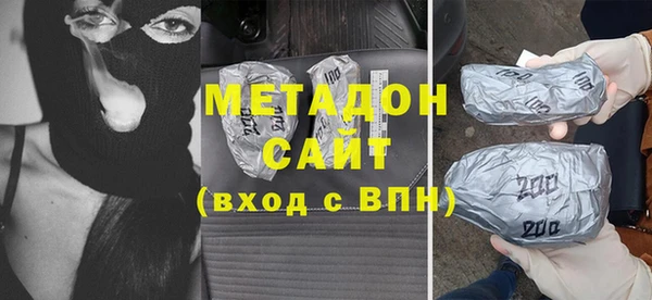 прущие грибы Каменногорск