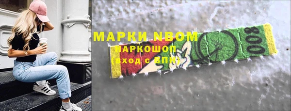 прущие грибы Каменногорск