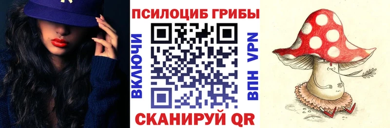 Псилоцибиновые грибы Cubensis  Купить  Лебедянь 